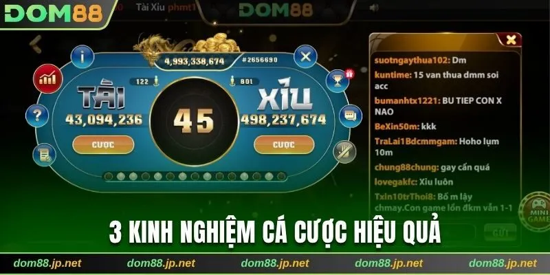 Bật mí 3 mẹo cược hiệu quả nhất từ chuyên gia 