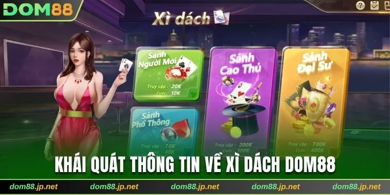 Khái quát thông tin về xì dách Dom88