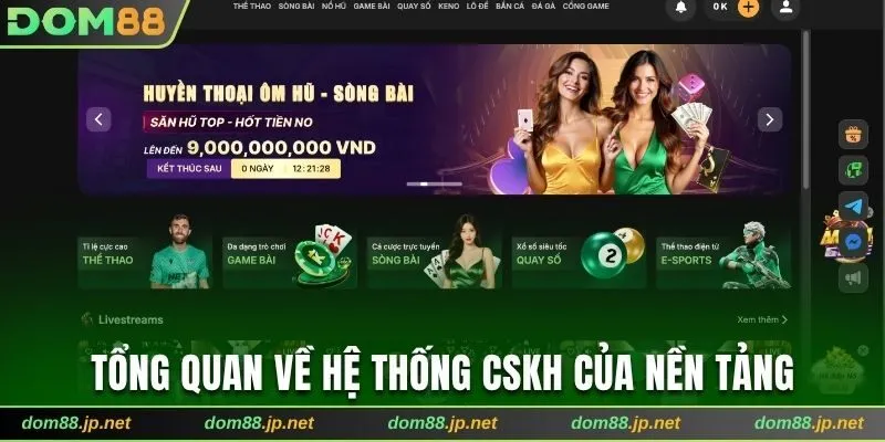 Tổng quan về hệ thống CSKH của nền tảng 